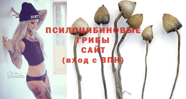мяу мяу мука Новозыбков