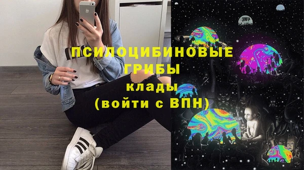 стаф Нефтекумск