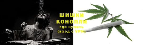 крисы Новокубанск